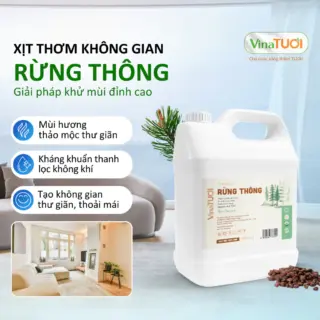 Tinh Dầu Xịt Phòng VINA TƯƠI Can 5L Khử Mùi Thiên Nhiên An Toàn Siêu Tiết Kiệm Mùi Rừng Thông