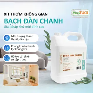 Tinh Dầu Xịt Phòng VINA TƯƠI Can 5L Khử Mùi Thiên Nhiên An Toàn Siêu Tiết Kiệm Mùi Bạch Đàn Chanh