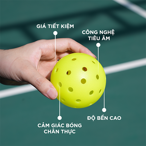 DUOLE – Bóng Pickleball Tập Luyện Trainer - Hình ảnh 3