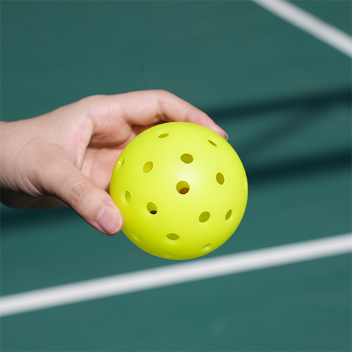 DUOLE – Bóng Pickleball Tập Luyện Trainer - Hình ảnh 5